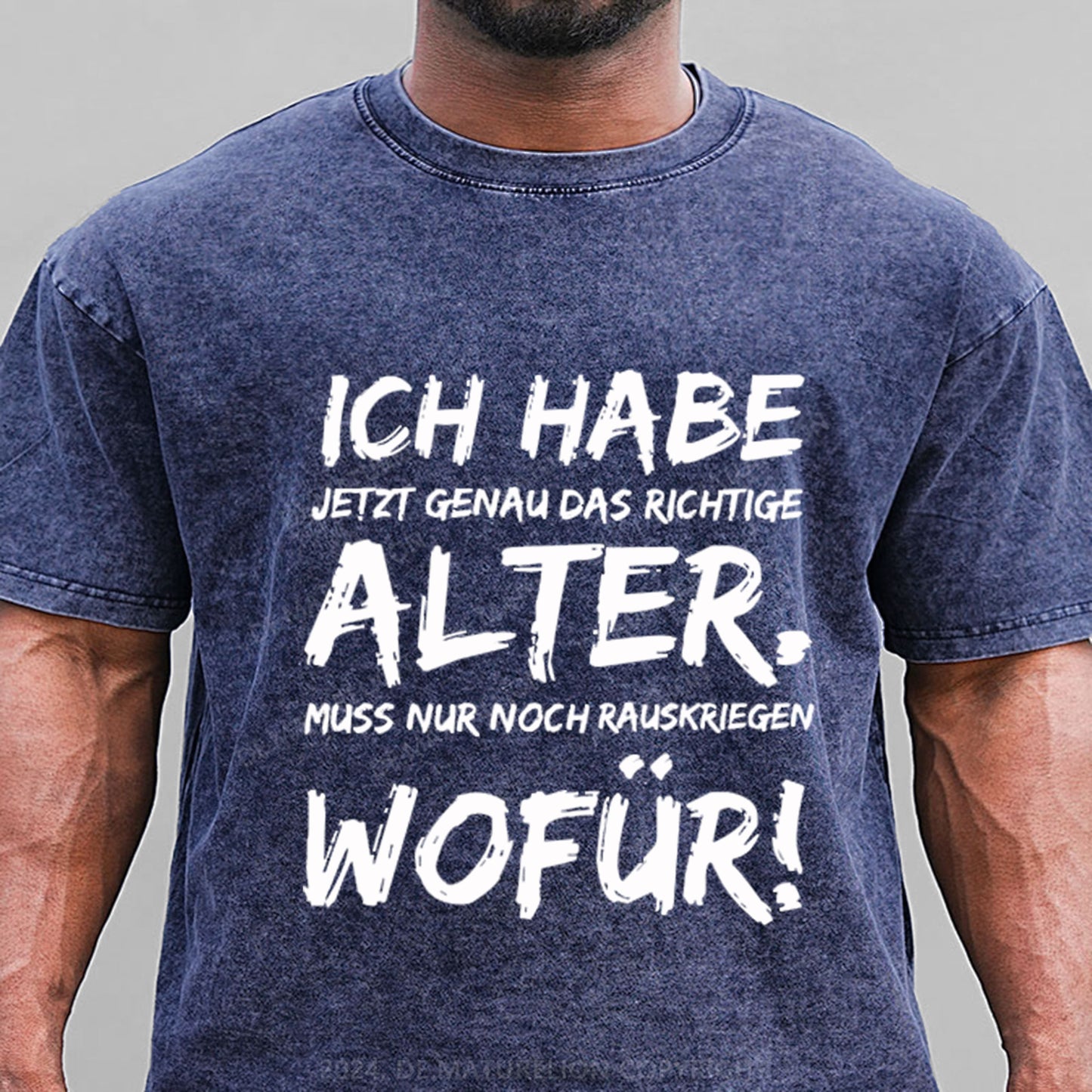 Ich Habe Jetzt Genau Das Richtige Alter Gewaschene Vintage T-Shirt