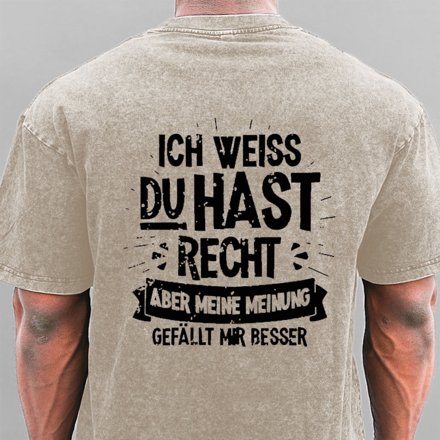 Ich Weiß Du Hast Recht Aber Meine Meinung Gefällt Mir Besser Gewaschene Vintage T-Shirt